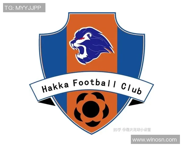 南京足球队实力解析：聚焦球队发展与未来展望